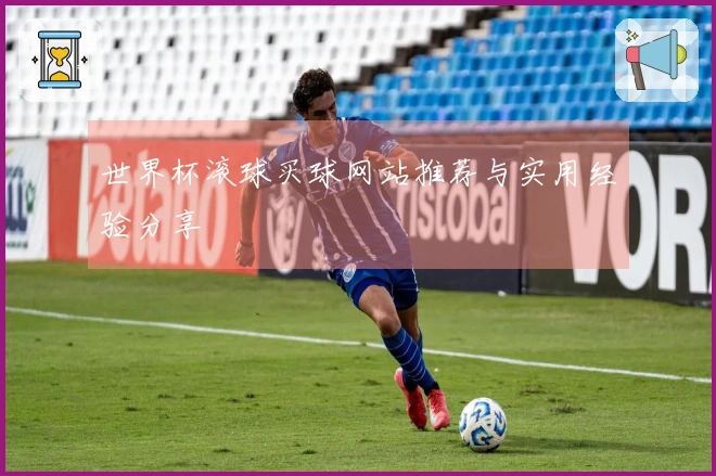 世界杯滚球买球网站推荐与实用经验分享