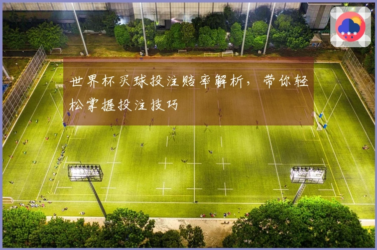 世界杯买球投注赔率解析，带你轻松掌握投注技巧