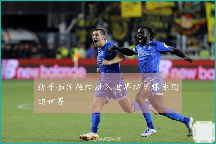 新手如何轻松进入世界杯买球竞猜的世界
