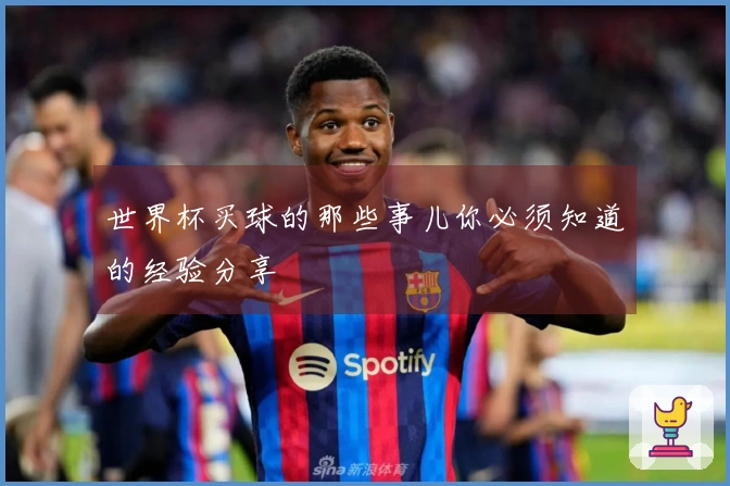 世界杯买球的那些事儿你必须知道的经验分享