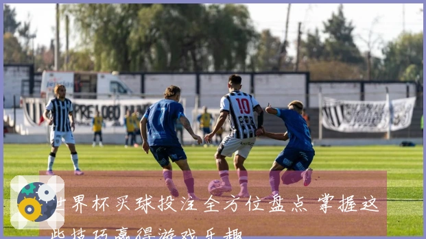 世界杯买球投注全方位盘点 掌握这些技巧赢得游戏乐趣