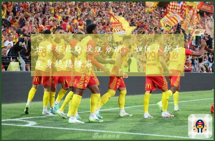 世界杯让球投注分析：如何从新手变身稳稳赚家