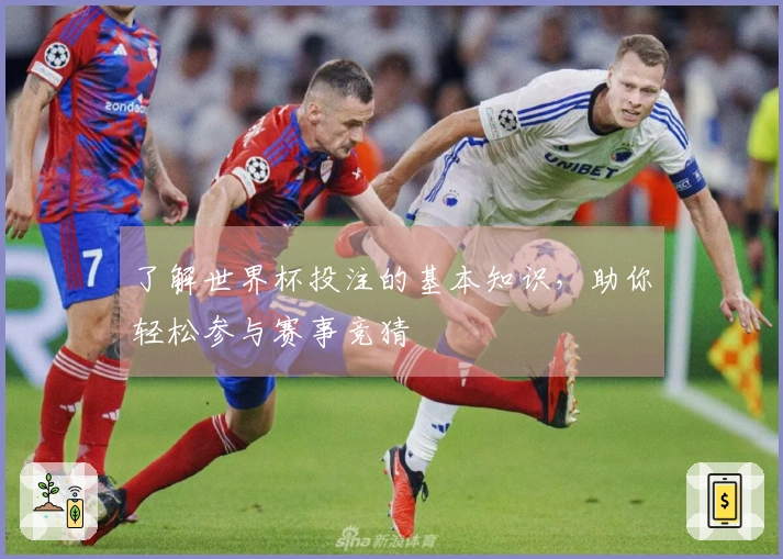 了解世界杯投注的基本知识，助你轻松参与赛事竞猜