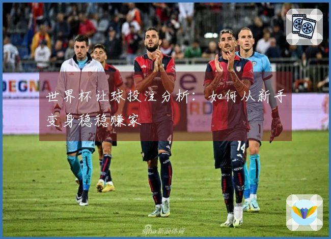 世界杯让球投注分析：如何从新手变身稳稳赚家