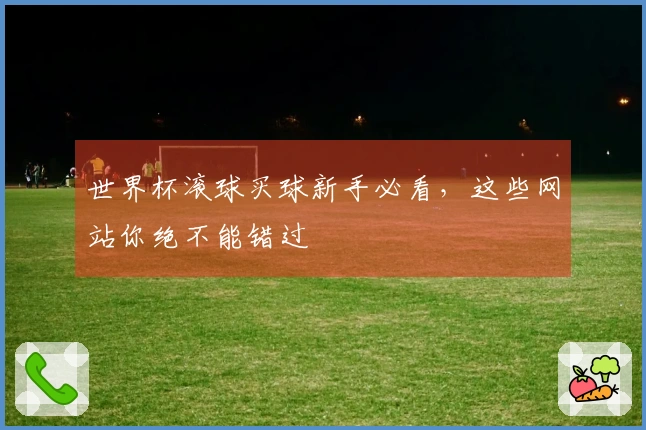 世界杯滚球买球新手必看,这些网站你绝不能错过