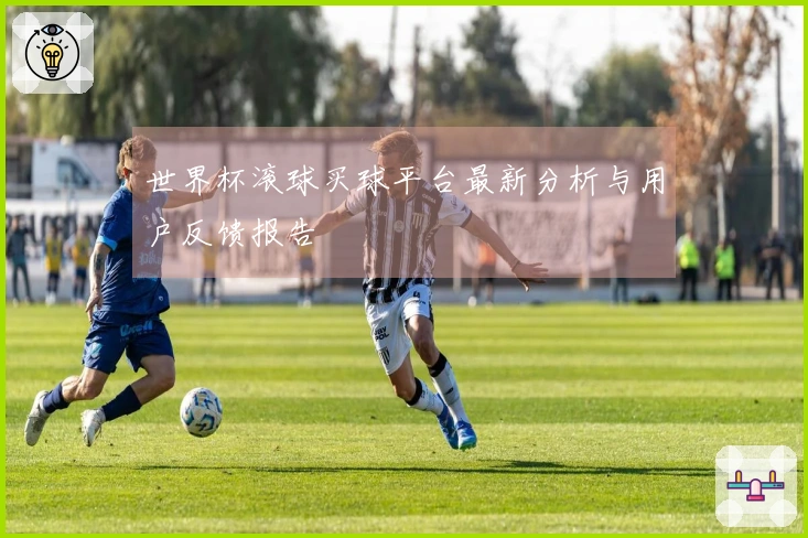 世界杯滚球买球平台最新分析与用户反馈报告