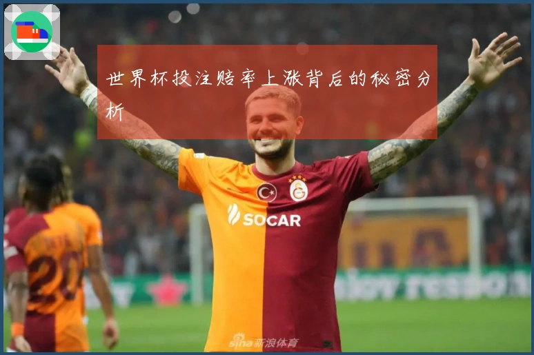 世界杯投注赔率上涨背后的秘密分析
