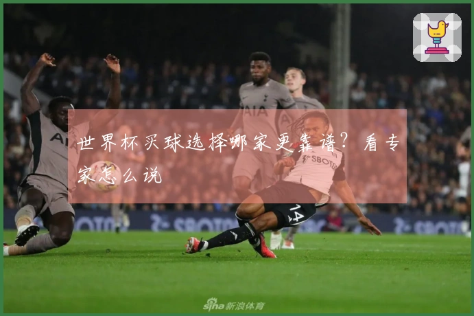 世界杯买球选择哪家更靠谱？看专家怎么说