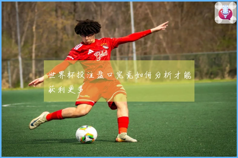 世界杯投注盘口究竟如何分析才能获利更多