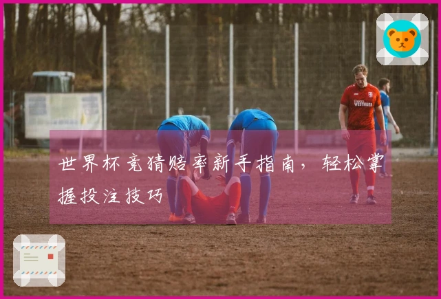 世界杯竞猜赔率新手指南，轻松掌握投注技巧