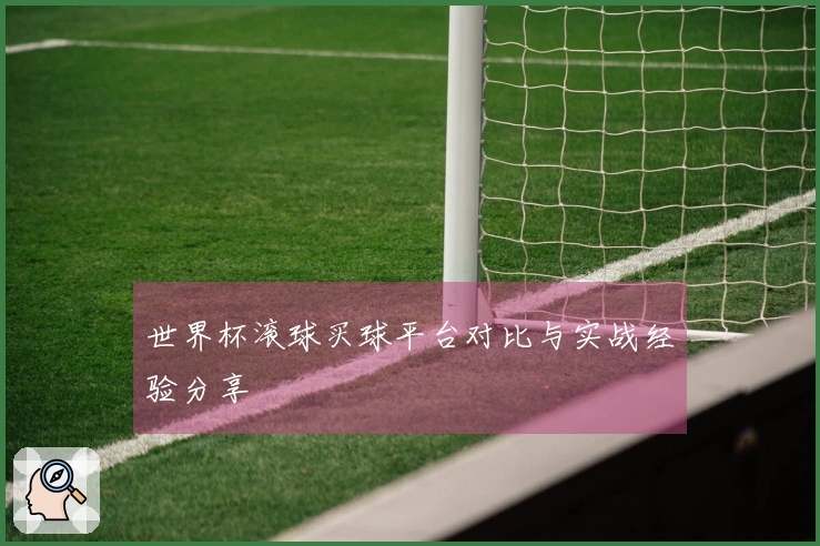 世界杯滚球买球平台对比与实战经验分享