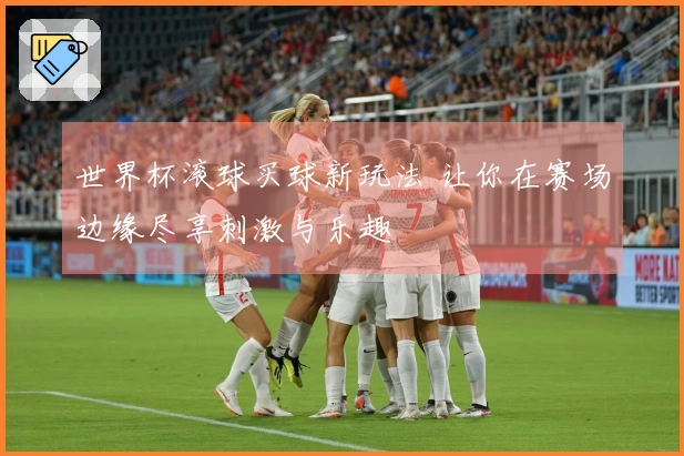 世界杯滚球买球新玩法 让你在赛场边缘尽享刺激与乐趣