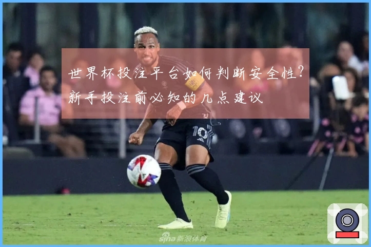 世界杯投注平台如何判断安全性？新手投注前必知的几点建议
