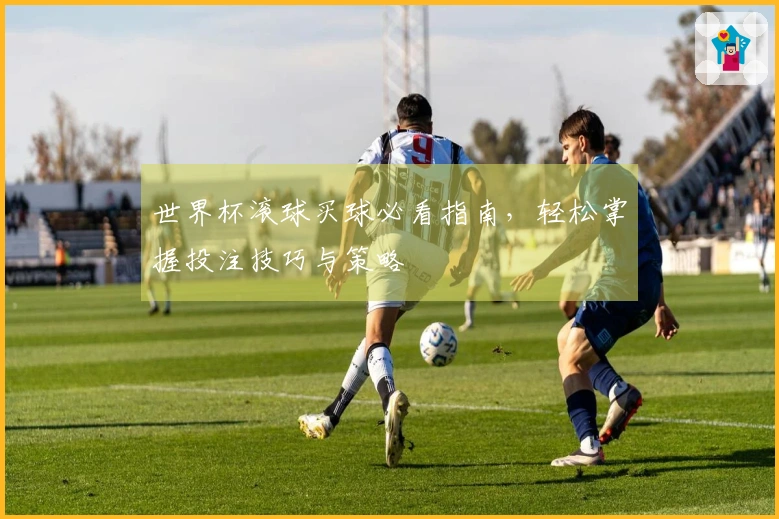 世界杯滚球买球必看指南，轻松掌握投注技巧与策略