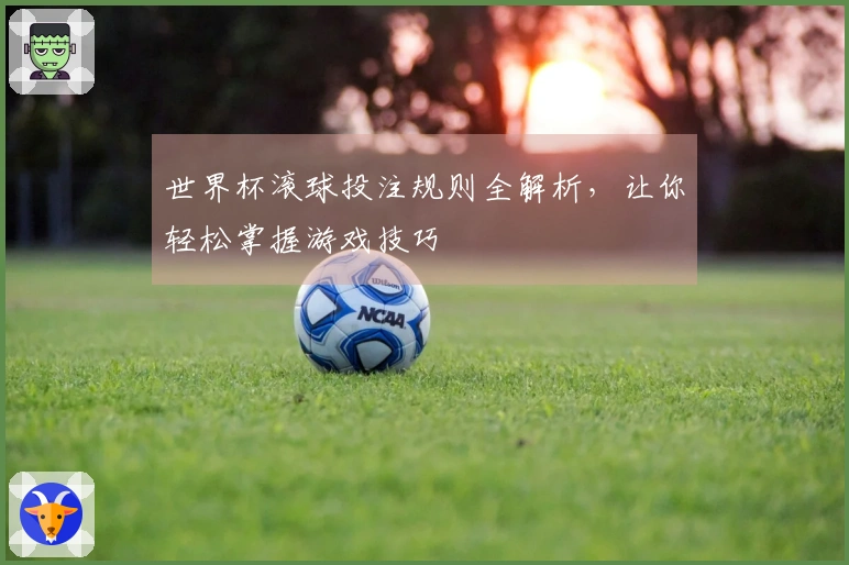 世界杯滚球投注规则全解析,让你轻松掌握游戏技巧