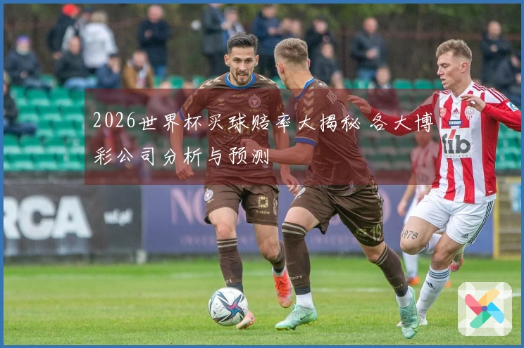 2026世界杯买球赔率大揭秘 各大博彩公司分析与预测