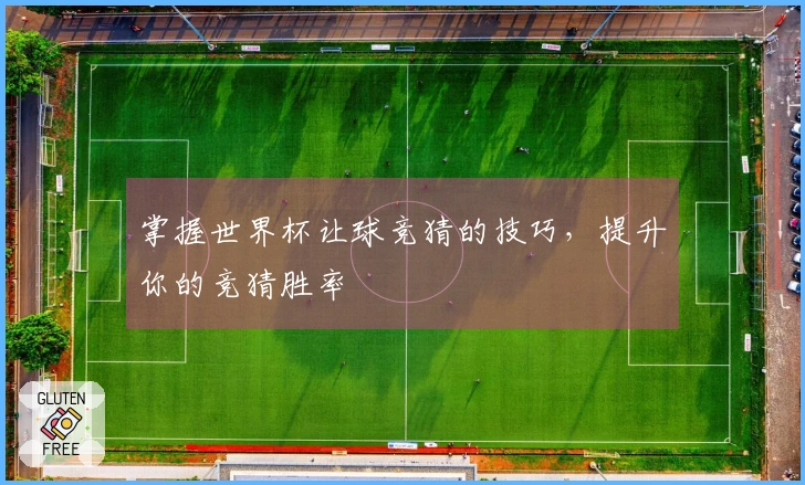 掌握世界杯让球竞猜的技巧，提升你的竞猜胜率