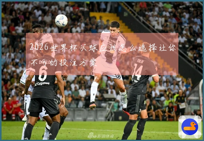 2026世界杯买球应该怎么选择让你不亏的投注方案