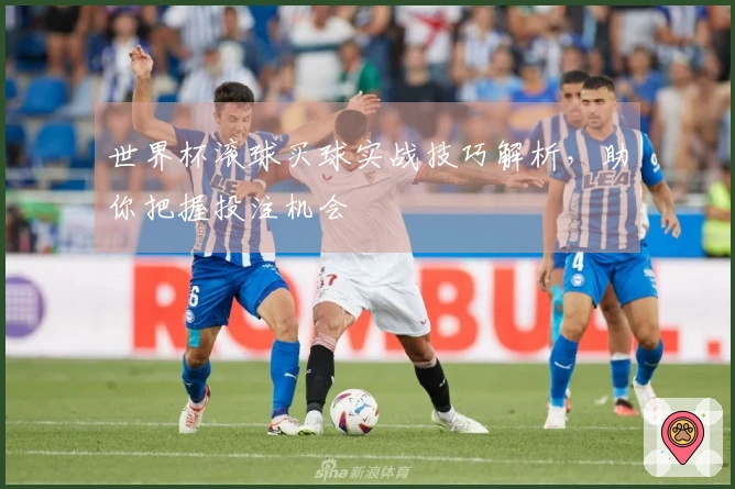 世界杯滚球买球实战技巧解析，助你把握投注机会