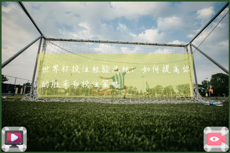 世界杯投注经验总结:如何提高你的胜率和投注策略