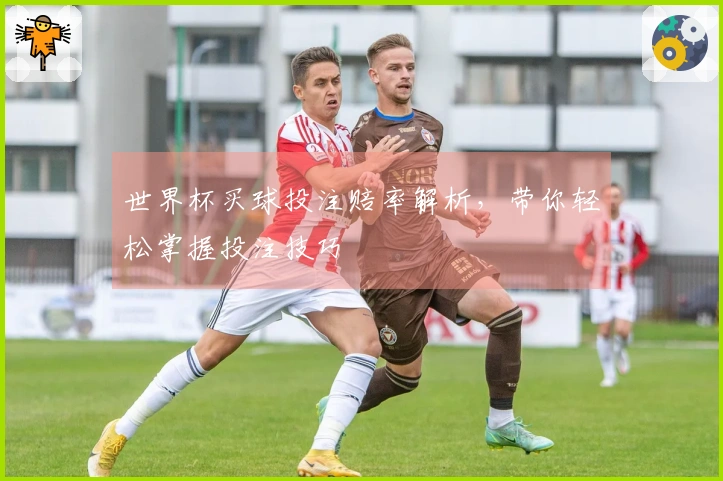 世界杯买球投注赔率解析，带你轻松掌握投注技巧